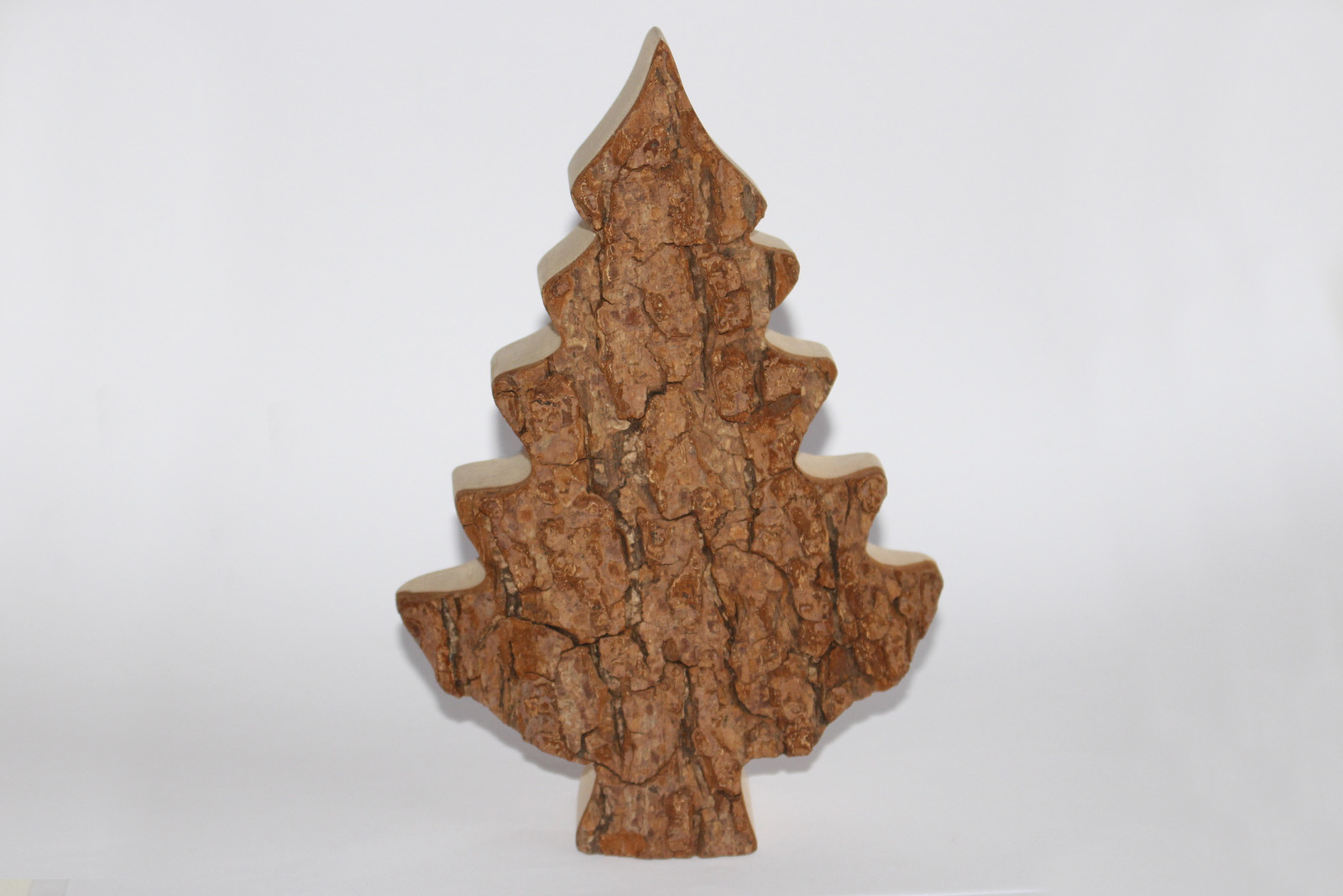 Zierbaum Gr. 3 , 20cm