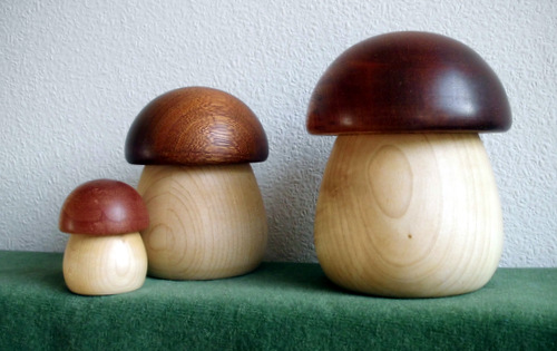 pilz-mah Pilz-Ahorn - Kappe braun