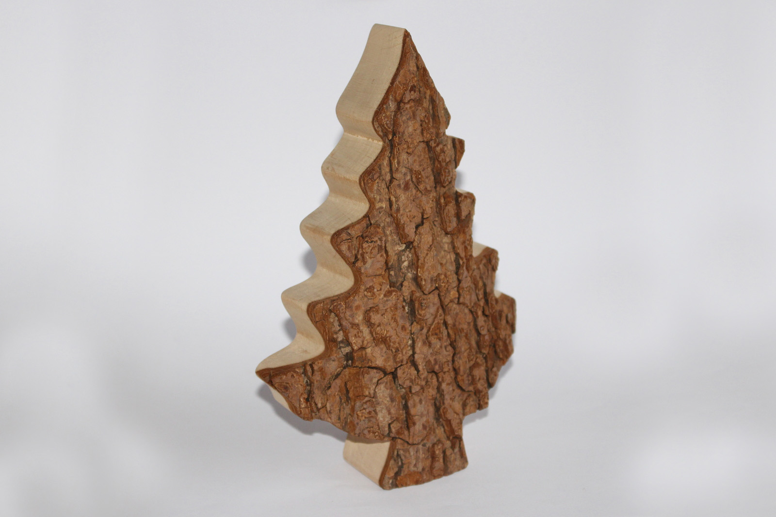 Zierbaum Gr. 3 , 20cm