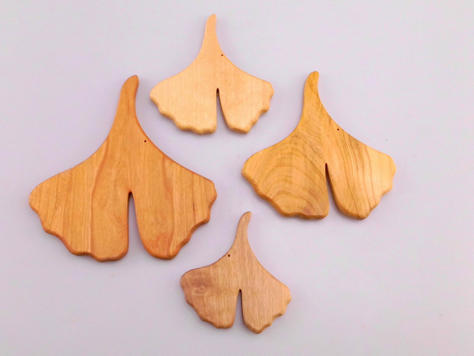 Ginkgo Ginkgo - Blatt