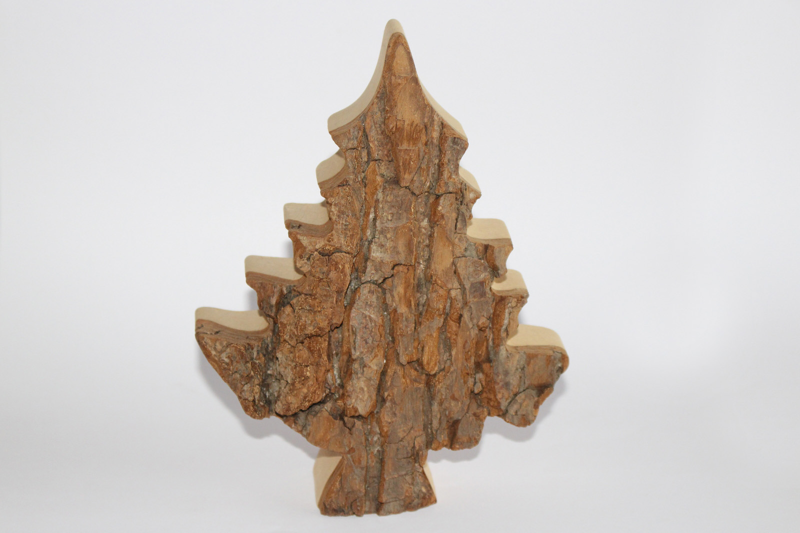 Zierbaum Gr. 2 , 16cm